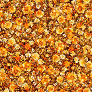 All The Buzz line by Dan Morris for QT Fabrics