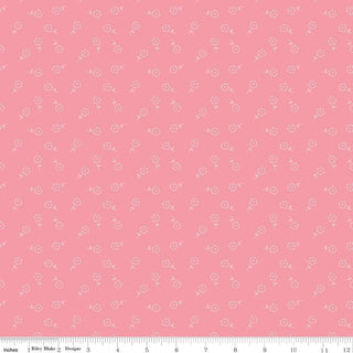 Riley Blake Sweet Pink Fabric by My Mind’s Eye C17414-Pink