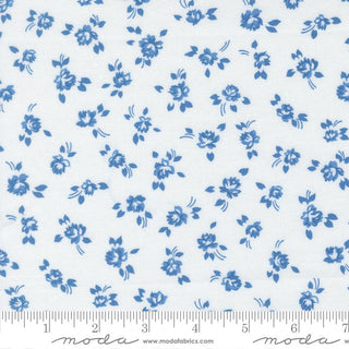 Moda Blueprint Line of Quilting Fabrics by Camille Roskelley