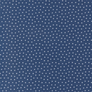 Moda Blueprint Line of Quilting Fabrics by Camille Roskelley - One Yard Cuts (337)
