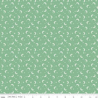 Halloween Quilting Fabric Riley Blake Frank and Friends Line by My Minds Eye